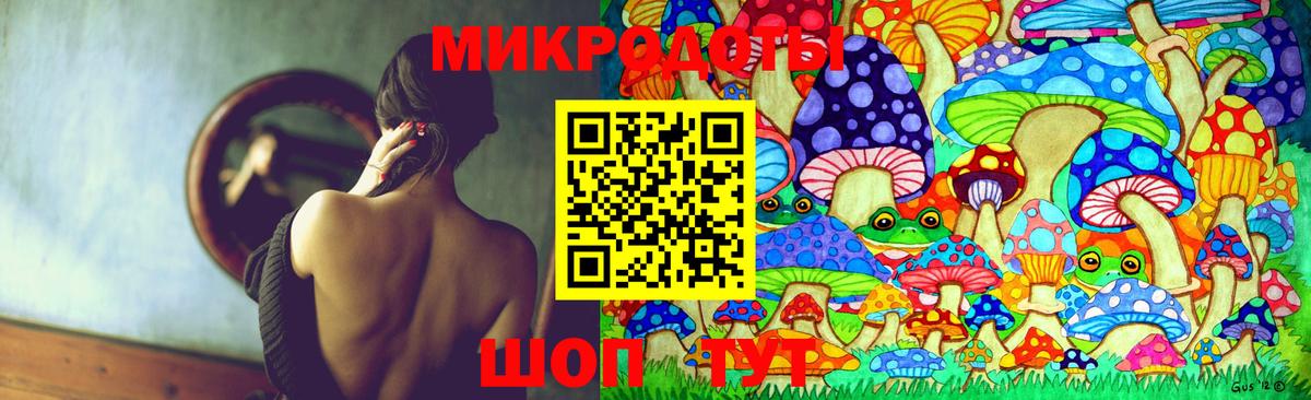 Галлюциногенные грибы Psilocybine cubensis Истра