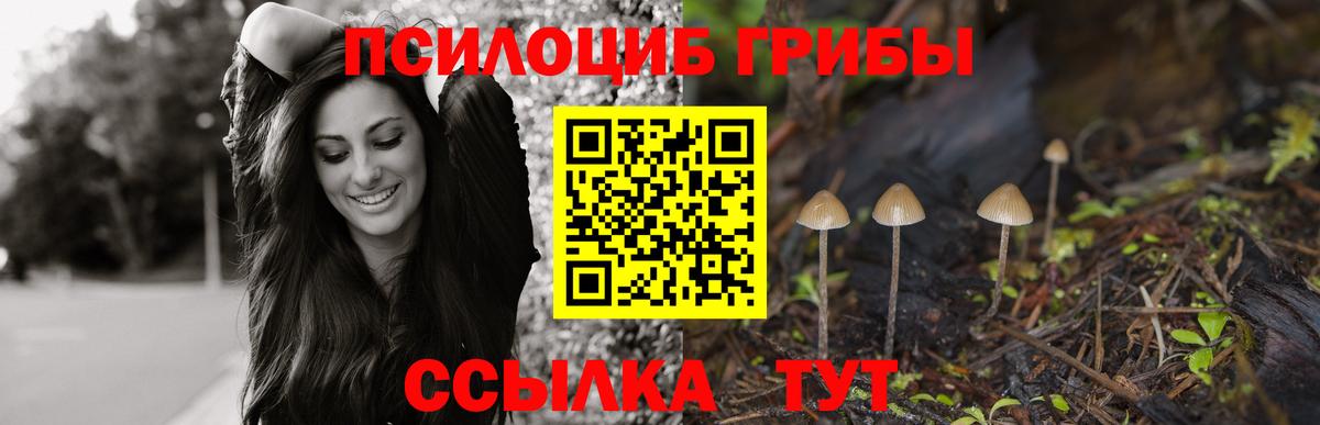 Галлюциногенные грибы MAGIC MUSHROOMS  Вход с VPN  продажа наркотиков  Галлюциногенные грибы Psilocybine cubensis  Истра 