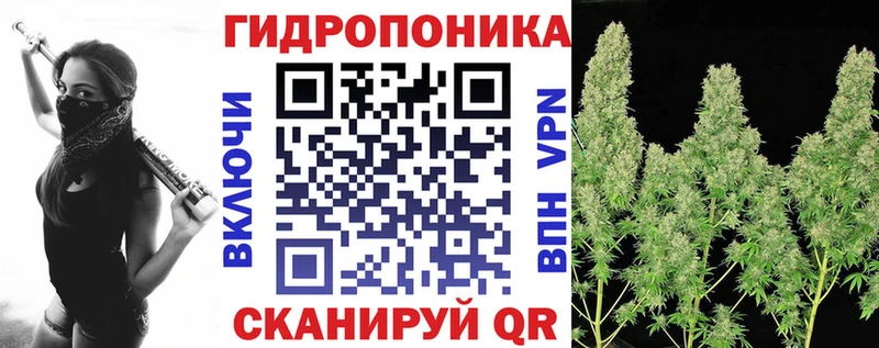 Конопля Ganja  Истра 