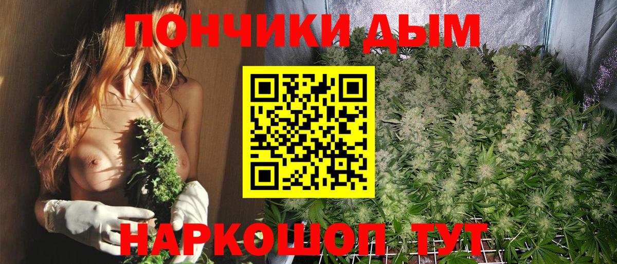 Канабис SATIVA & INDICA Истра