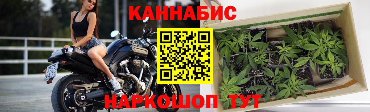 Шишки марихуана White Widow  Марихуана MAZAR  МАРИХУАНА OG Kush  Марихуана сатива  Истра  Вход с VPN 